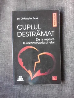 CUPLUL DESTRAMAT, DE LA RUPTURA LA RECONSTRUCTIA SINELUI - CHRISTOPHE FAURE