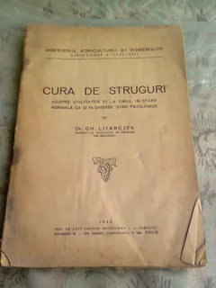 CURA DE STRUGURI - GH. LITARCZEK