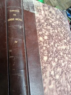 CURIER DE AMBESEXE - JURNAL LITERAR Periodul IV