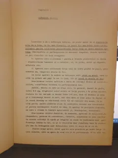 Curs de tir - Baia Mircea