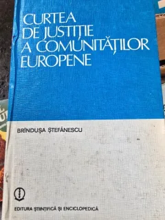 CURTEA DE JUSTITIE A COMUNITATILOR EUROPENE - BRANDUSA STEFANESCU