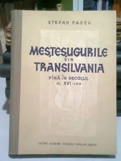 CURTENI SI SLUJITORI. CONTRIBUTII LA ISTORIA ARMATEI ROMANE - NICOLAE STOICESCU