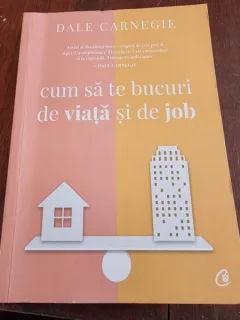 Dale Carnegie - Cum sa te bucuri de viata si de job