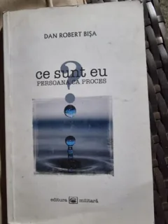 Dan Robert Bisa - Ce sunt eu?