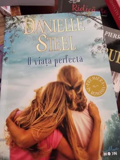 Danielle Steel - O viata perfecta