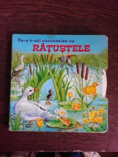 DE-A V-ATI ASCUNSELEA CU RATUSTELE