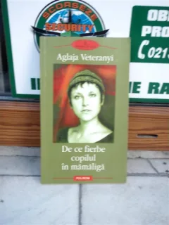 DE CE FIERBE COPILUL IN MAMALIGA , AGLAJA VETERANYI