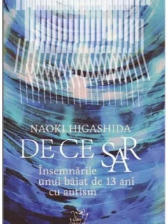 DE CE SAR, INSEMNARILE UNUI BAIAT DE 13 ANI CU AUTISM - NAOKI HIGASHIDA