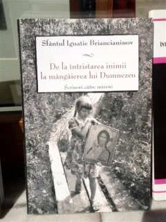 DE LA INTRISTAREA INIMII LA MANGAIEREA LUI DUMNEZEU , IGNATIE BRIANCIANINOV