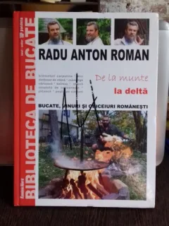 DE LA MUNTE LA DELTA - RADU ANTON ROMAN