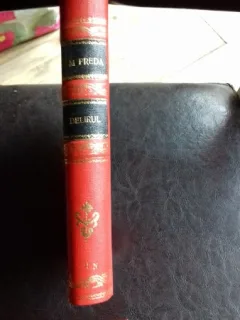 DELIRUL-MARIN PREDA