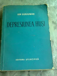 DEPRESIUNEA HUSI - ION GUGIUMAN