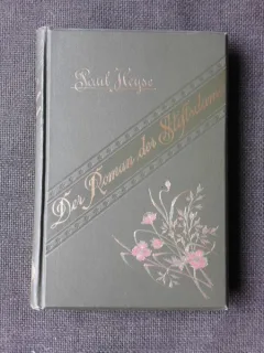 DER ROMAN DER STIFTSDANNE - PAUL HEISE  (CARTE IN LIMBA GERMANA)