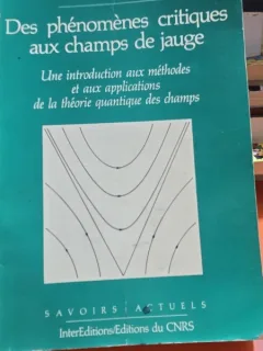 Des phenomenes critiques aux champs de jauge, Une introductiom aux methodes Eet aux applications de la theorie quantique des champs