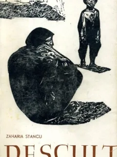 DESCULT - ZAHARIA STANCU