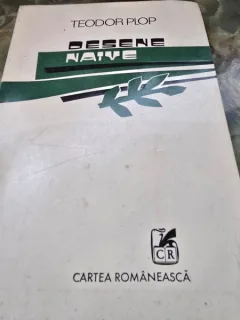 Desene Naive - Teodor Plop cu dedicatia autorului pentru Mircea Basarab
