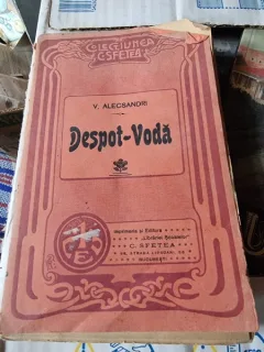 DESPOT VODA - V. ALECSANDRI