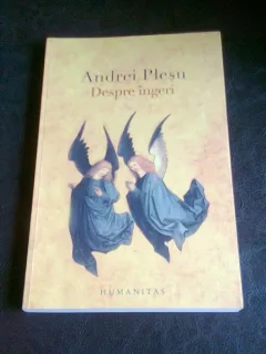 DESPRE INGERI - ANDREI PLESU