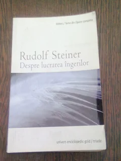DESPRE LUCRAREA INGERILOR - RUDOLF STEINER