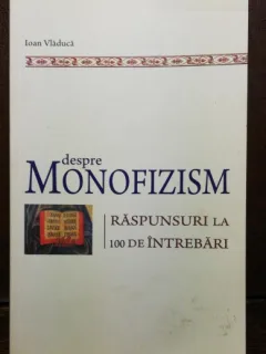 DESPRE MONFIZISM - IOAN VLADUCA