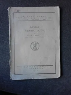 DESPRE NEGRU VODA - IOAN C. FILITTI