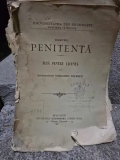 Despre penitenta - Veniamin Nitescu  teza de doctorat