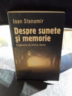 DESPRE SUNETE SI MEMORIE - IOAN STANOMIR