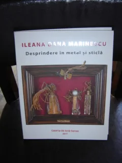 DESPRINDERE IN METAL SI STICLA - ILEANA DANA MARINESCU