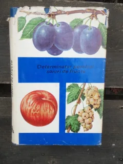 DETERMINATOR POMICOL. SOIURI DE FRUCTE VOL.2