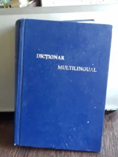 DICTIONAR DE AFACERI MULTILINGUAL - GHID PRACTIC