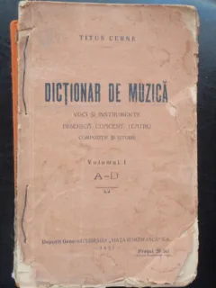 DICTIONAR DE MUZICA - TITUS CERNE