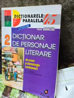 Dictionar de personaje literare din proza si dramaturgia romaneasca vol. II - Florin Sindrilaru