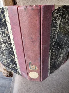 Dictionar germano-roman dupa sistemul d-lui M. A. Thiubaut - Theodor Codrescu