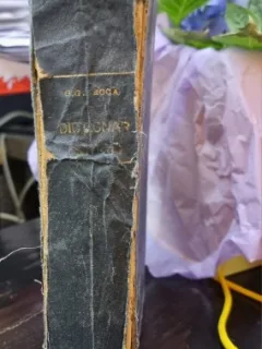 DICTIONAR ISTORIC ARHEOLOGIC SI GEOGRAFIC AL ROMANIEI - O. G. LECCA
