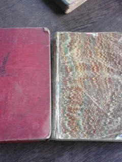 DICTIONARIU FRANCESO ROMANU - THEODOR CODRESCU, 2 VOLUME