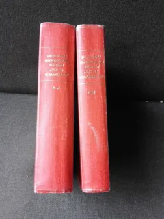 DICTIONARUL ENCICLOPEDIC ILUSTRAT CARTEA ROMANEASCA, - AUREL CANDREA, GH. ADAMESCU 2 VOLUME