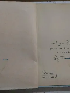 DICTIONARUL FILOSOFIEI, INTELESURI A 1300 TERMENI - FANU AL. DUTULESCU