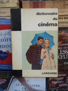 DICTIONNAIRE DU CINEMA , LAROUSSE