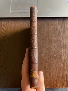 Dimitrie Bolintineanu Poesii din tinerete nepublicate inca (1869)