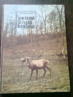 DIN FAUNA SI FLORA ROMANIEI - ION SIMIONESCU