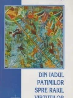 DIN IADUL PATIMILOR SPRE RAIUL VIRTUTILOR - IOAN C. TESU
