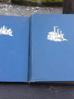 Din istoria Transilvaniei 2 volume - C. Daicoviciu, St. Pascu, V. Cherestesiu, T. Morariu