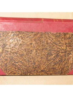 Din moravurile si pornirile insectelor(cu figuri)