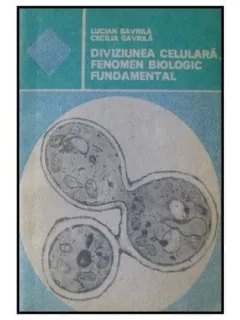 DIVIZIUNEA CELULARA FENOMEN BIOLOGIC FUNDAMENTAL