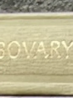 Doamna Bovary - Flaubert