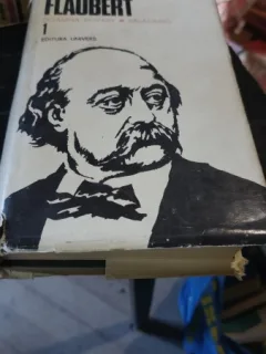 Doamna Bovary , Salammbo - Flaubert