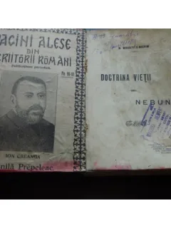 DOCTRINA VIETII UNUI NEBUN - N.MIHAIESCU NIGRIM