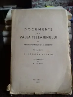 DOCUMENTE DE PE VALEA TELEAJENULUI - ELEONORA ALEXIU