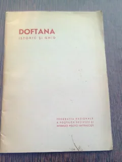 DOFTANA - ISTORIC SI GHID