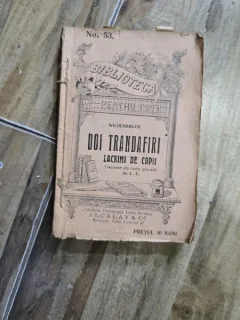 DOI TRANDAFIRI, LACRIMI DE COPII, WILDENBRUCH
